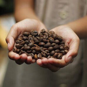 coffee beans sustainability